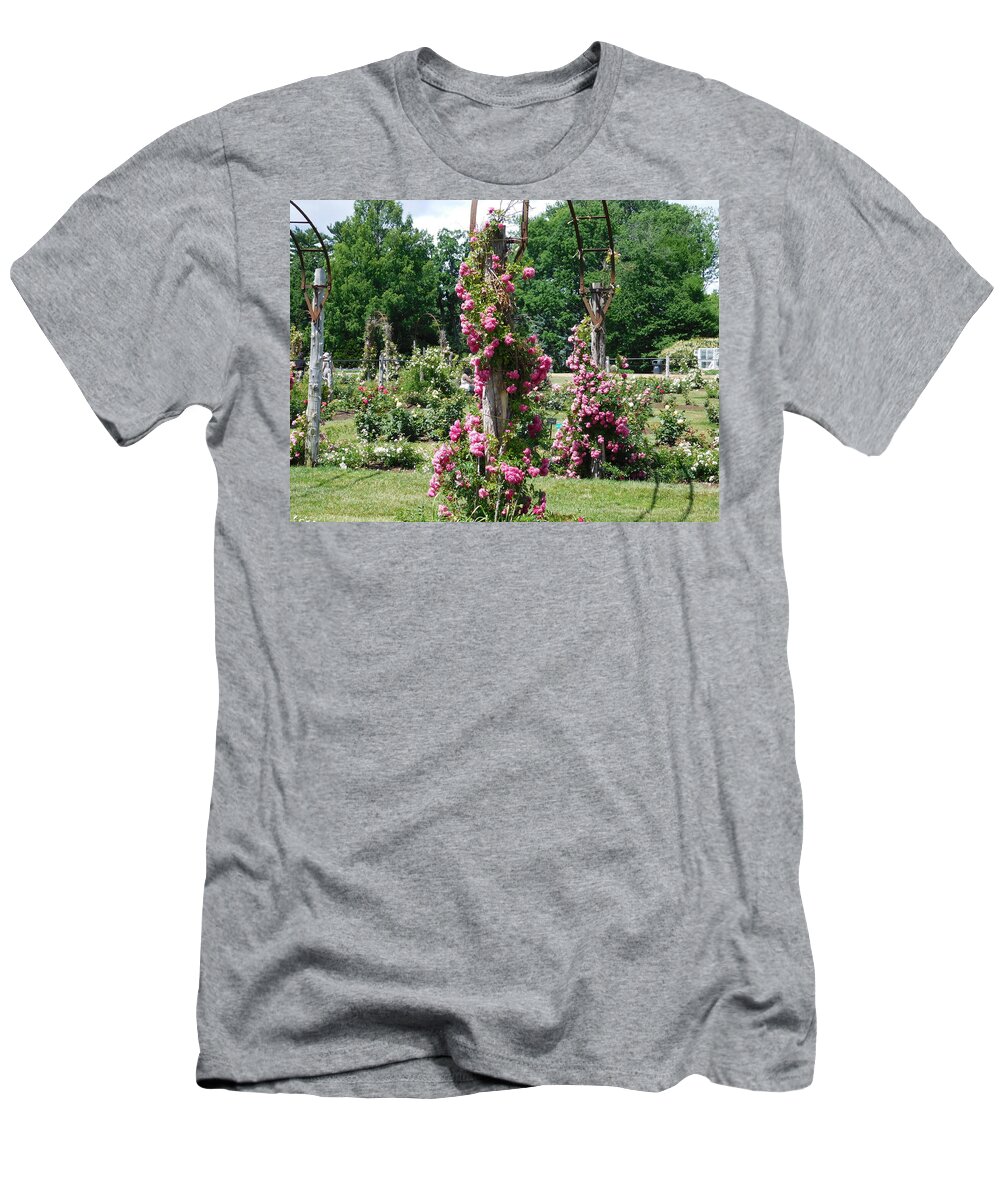 Hartford T-Shirt featuring the photograph Rose Trellis by Catherine Gagne