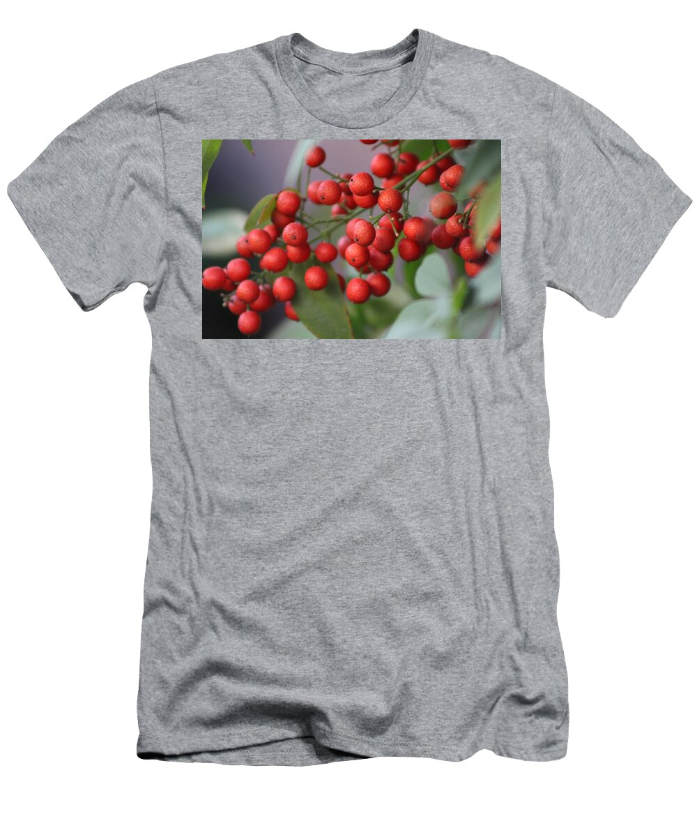 Ruby Red Berries T-Shirt featuring the photograph Ruby Red Berries by Colleen Cornelius
