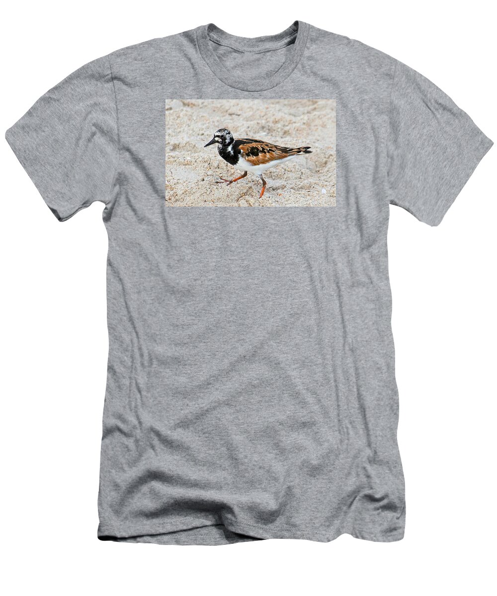 Wildlife T-Shirt featuring the photograph Ruddy Turnstone by Kenneth Albin