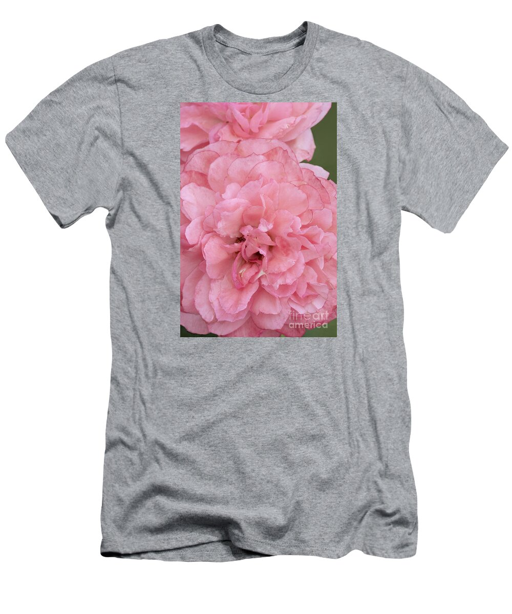 Rose T-Shirt featuring the photograph Ruffled Pink Rose by Regina Geoghan