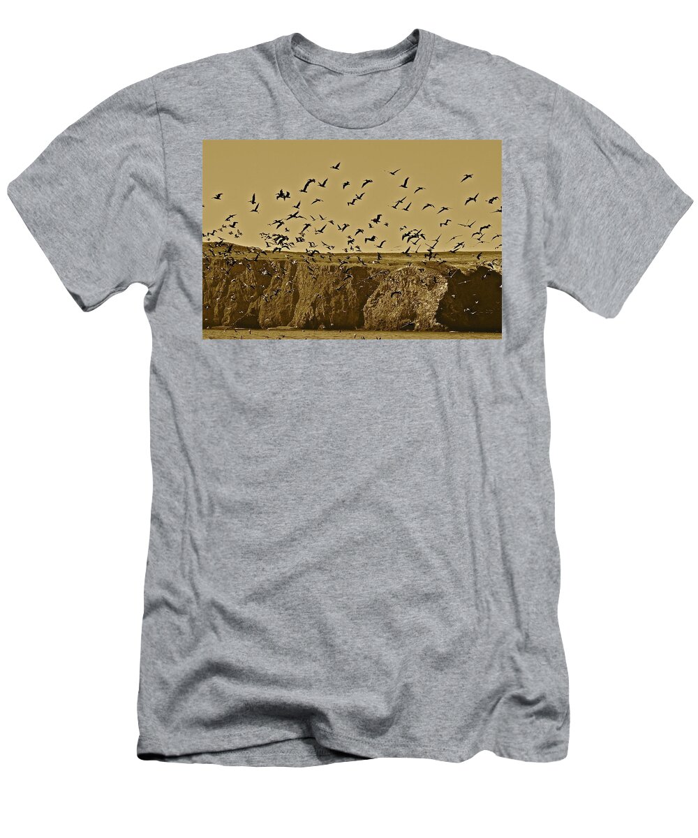 Birds T-Shirt featuring the photograph Run For Cover by Diana Hatcher