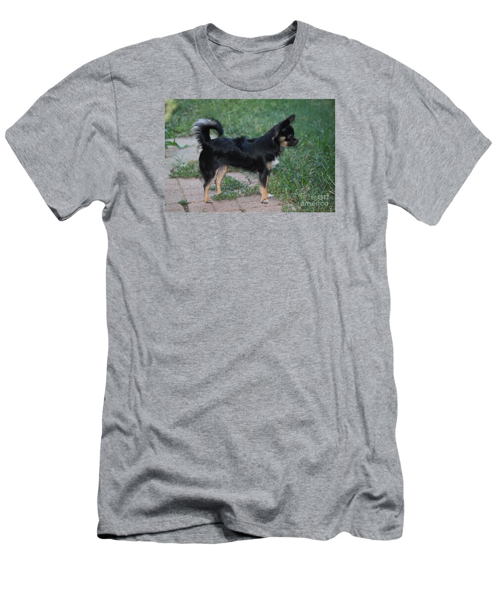 Chihuahua T-Shirt featuring the photograph Sammie Jo 4 by Sheri Simmons