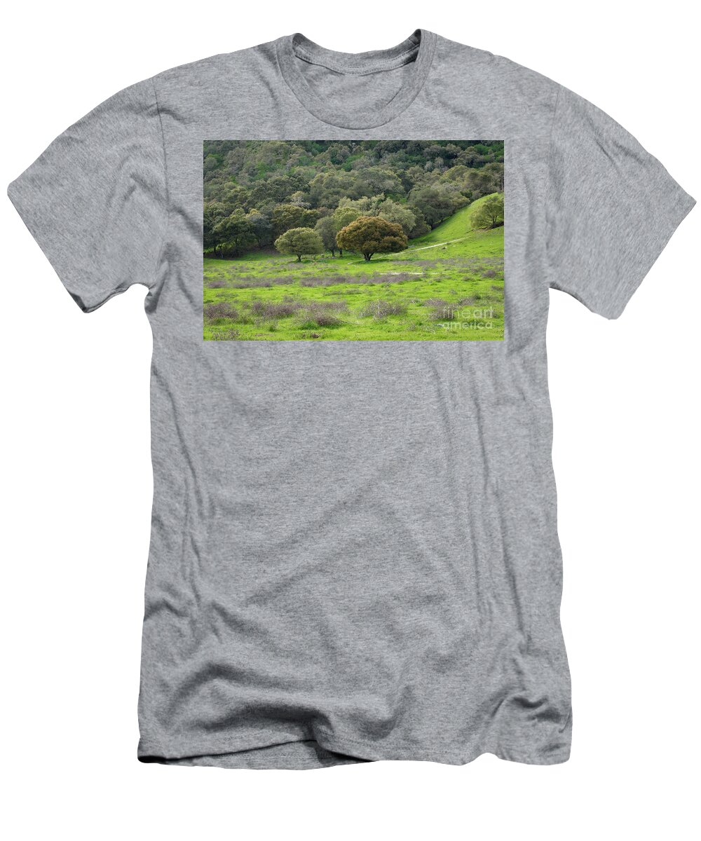 Steinbeck Country T-Shirt featuring the photograph San Juan Bautista Spring by Jeff Hubbard