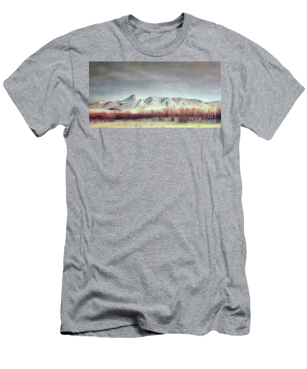 Dempster Highway T-Shirt featuring the photograph Sanctuary, by Priska Wettstein