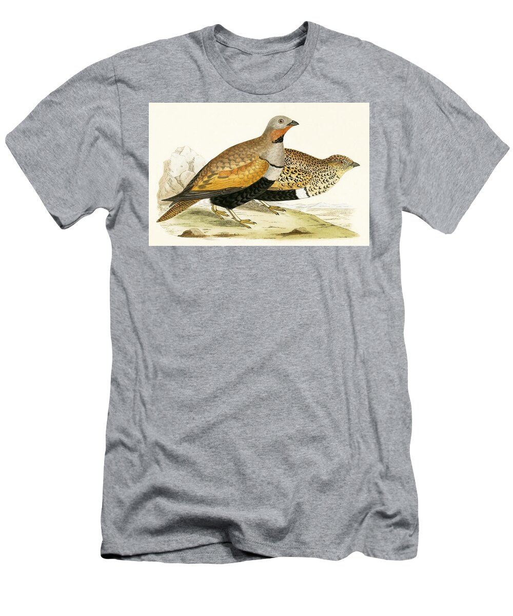 Bird T-Shirt featuring the painting Sand Grouse by English School