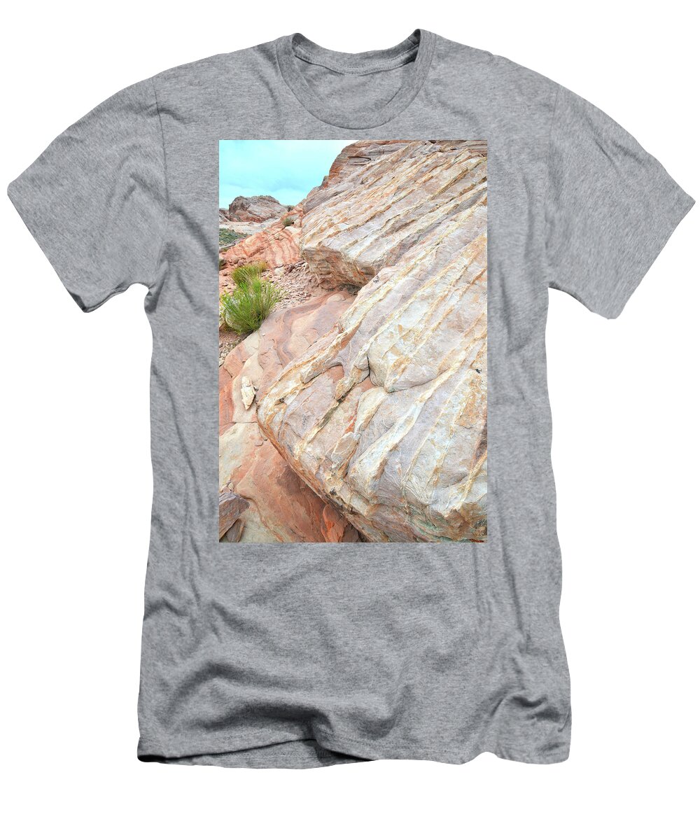 Valley Of Fire State Park T-Shirt featuring the photograph Sandstone Feet in Valley of Fire by Ray Mathis