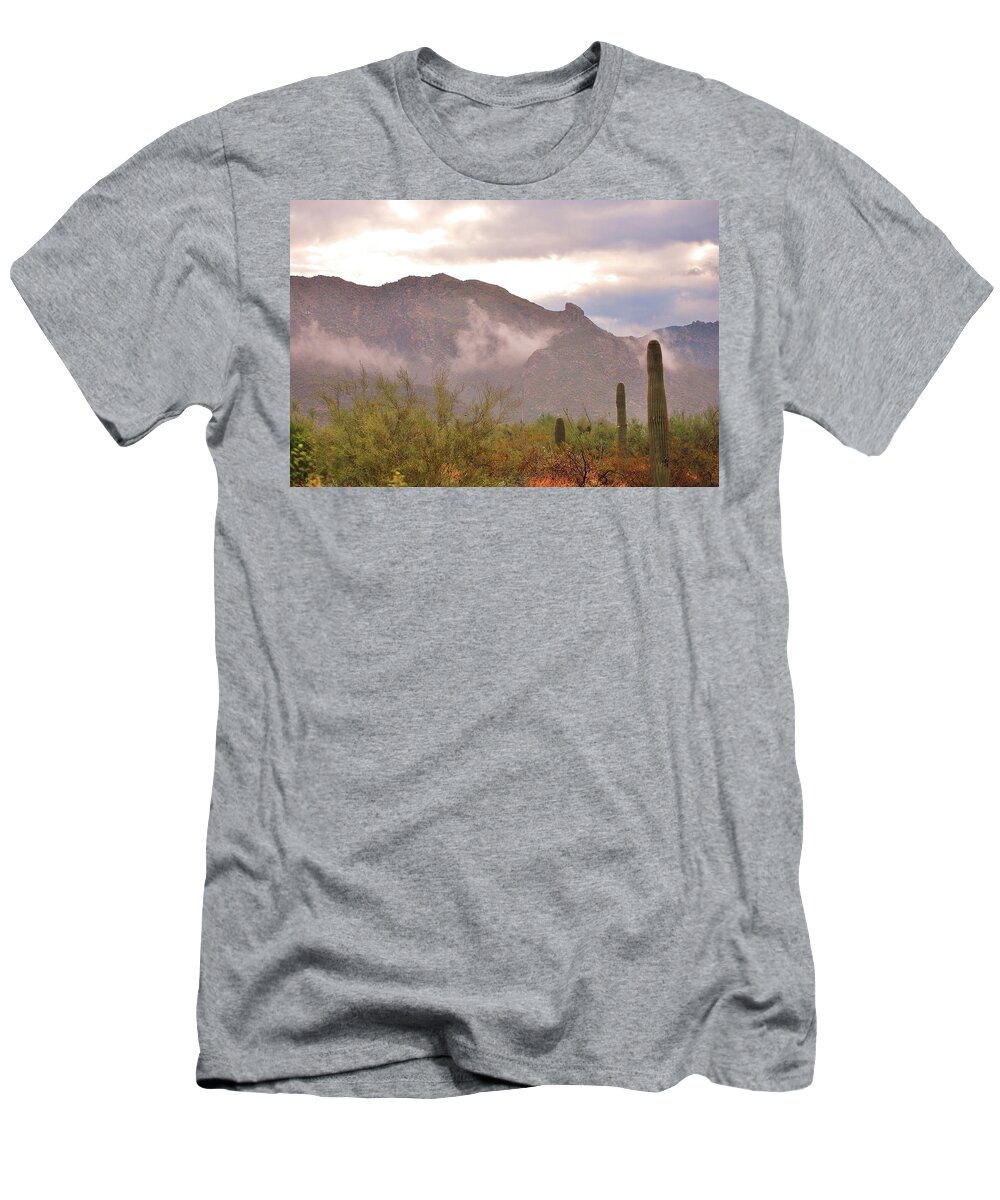 Fine Art T-Shirt featuring the photograph Santa Catalina Mountains II by Donna Greene