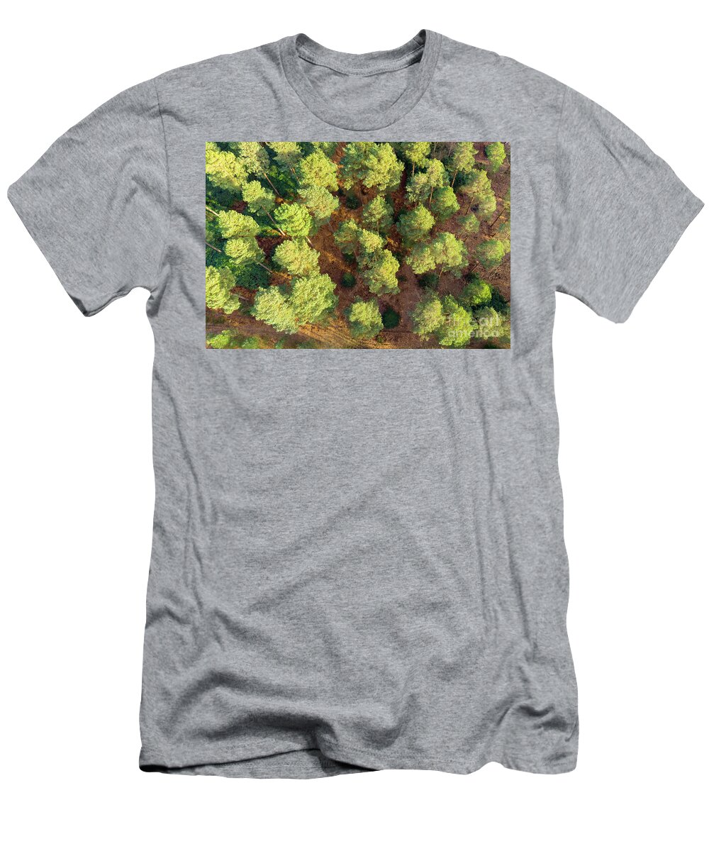 Scots Pines T-Shirt featuring the photograph Scots Pines by Andy Myatt