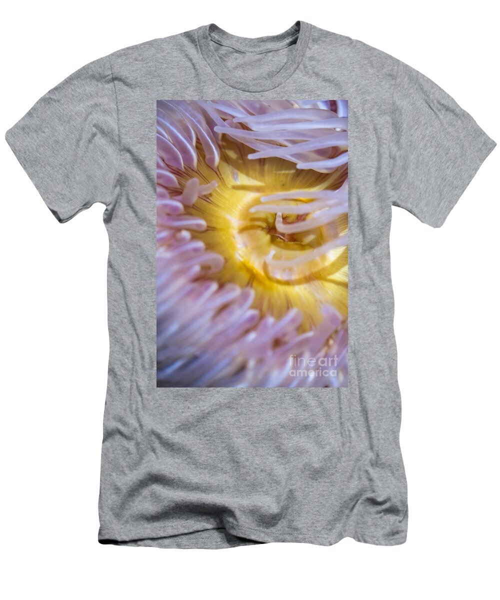 The Aquarium Of The Pacific T-Shirt featuring the photograph Sea Anemones 4 by David Zanzinger