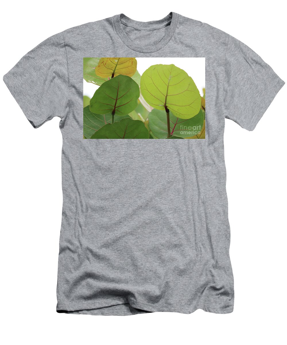 Sea Grapes T-Shirt featuring the photograph Sea Grape Leaves by Carol Groenen