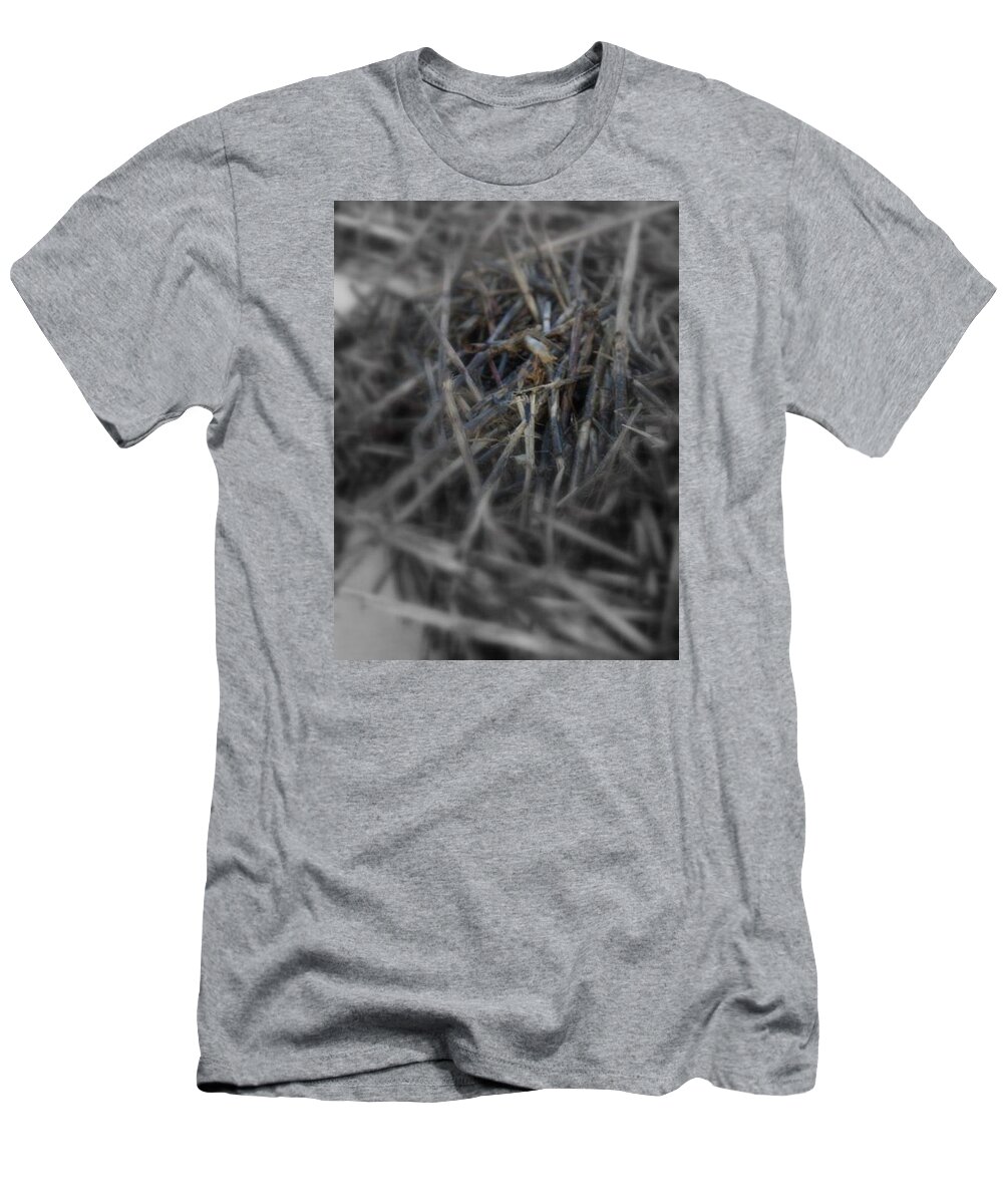  T-Shirt featuring the photograph Sea Grass by Toni Paxton