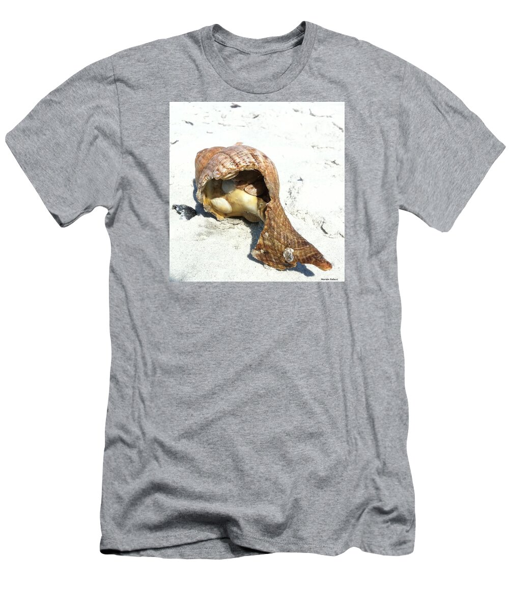 Sea T-Shirt featuring the photograph Sea Shell by Marian Lonzetta
