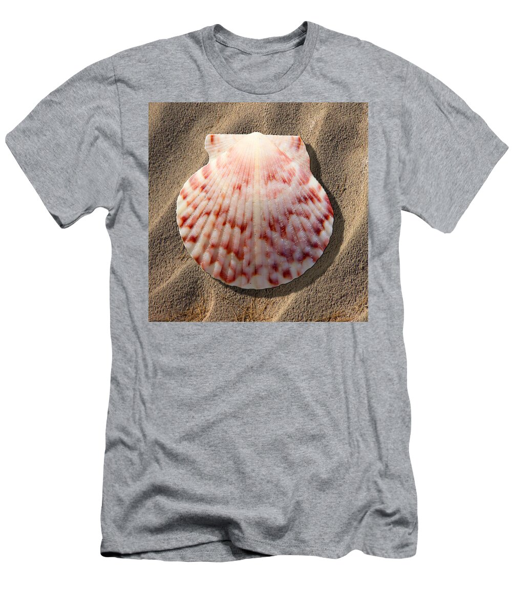 Travel T-Shirt featuring the photograph Sea Shell by Mike McGlothlen