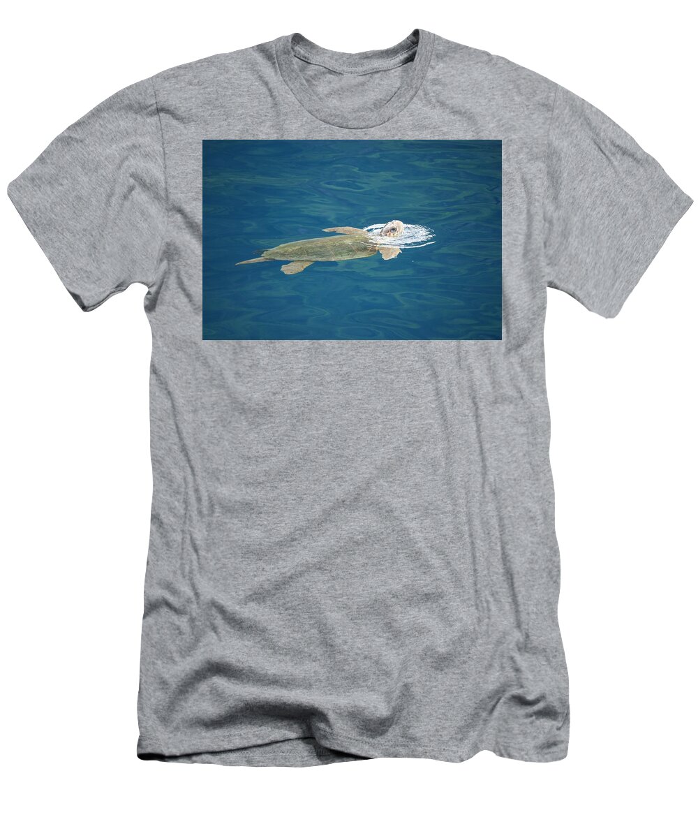 Sea Turtle T-Shirt featuring the photograph Sea Turtle by AJ Harlan