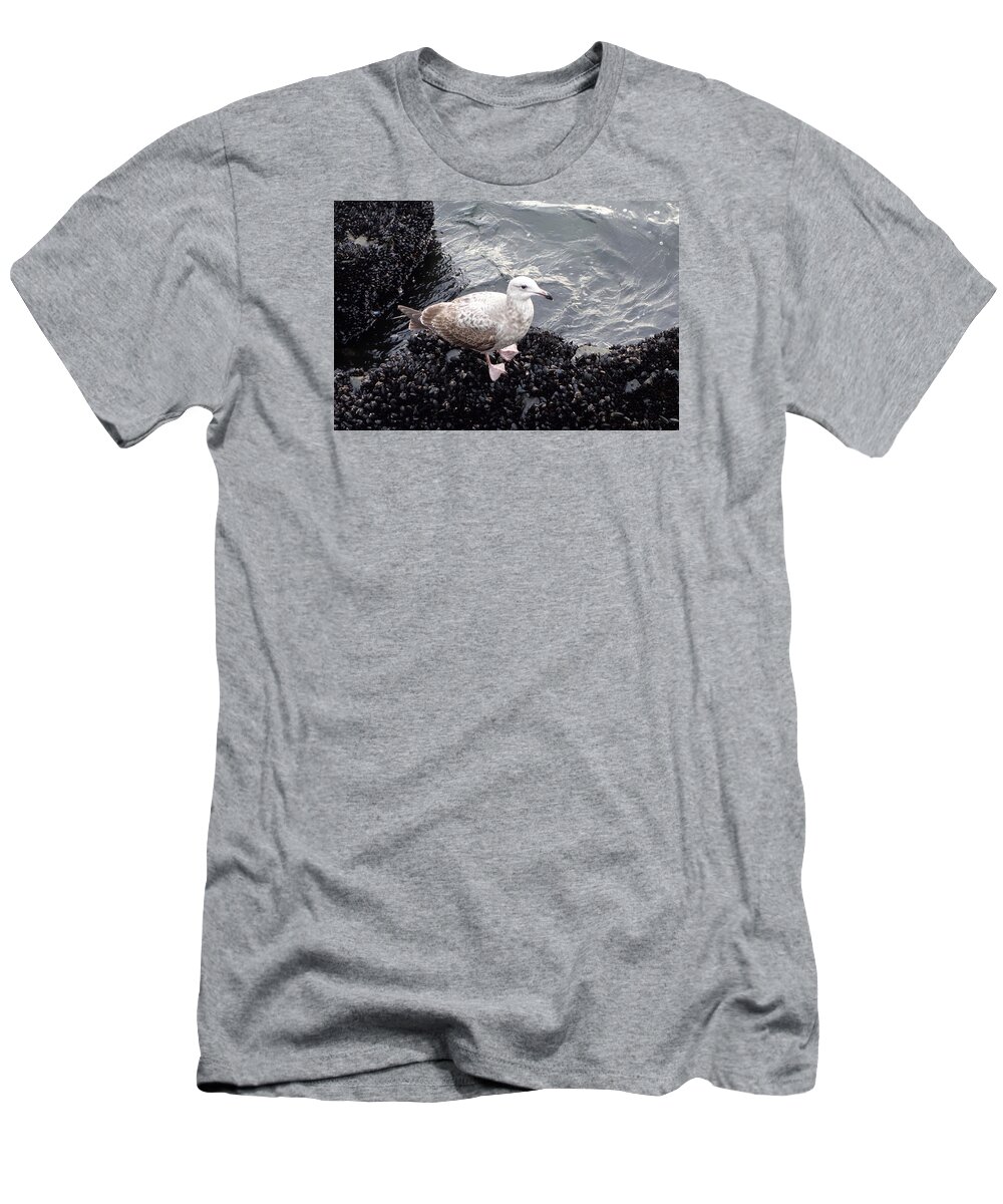 Seagull T-Shirt featuring the photograph Seagull and Mussels by Melinda Saminski