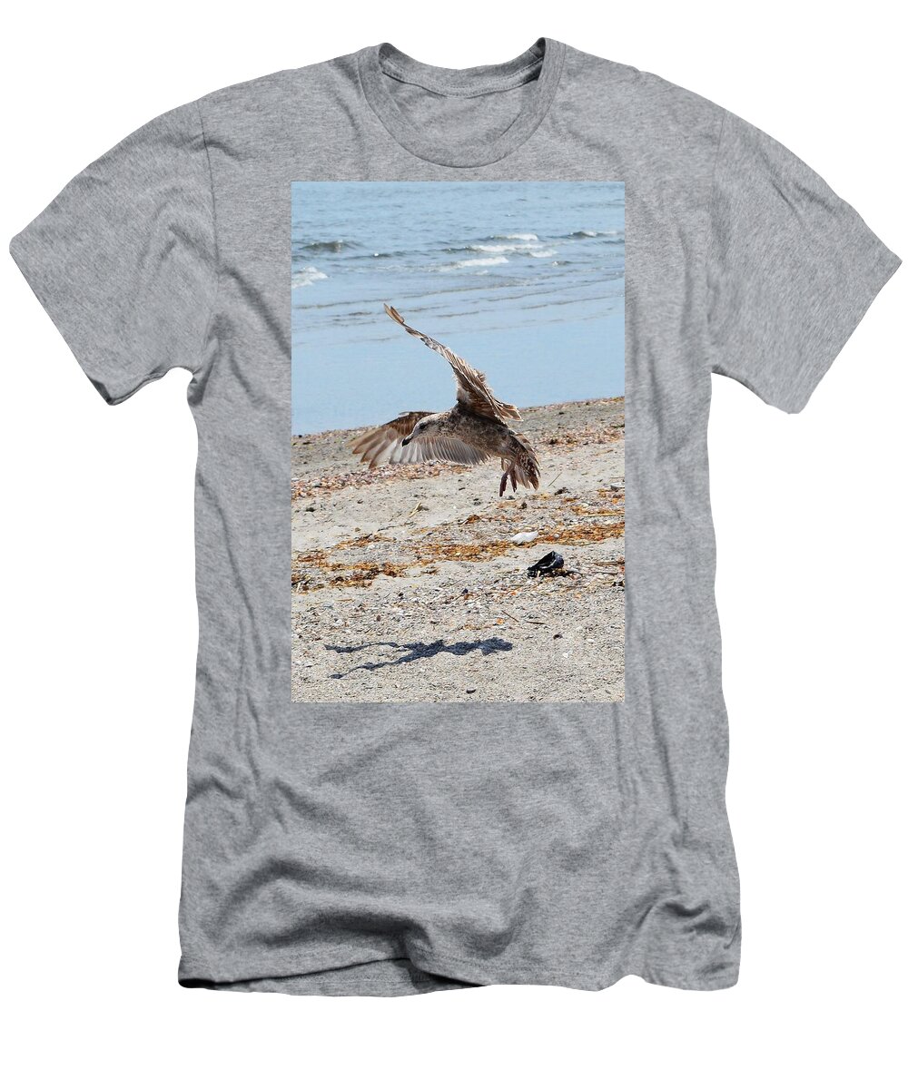 Beach T-Shirt featuring the photograph Seagull and Shadow by Dani McEvoy