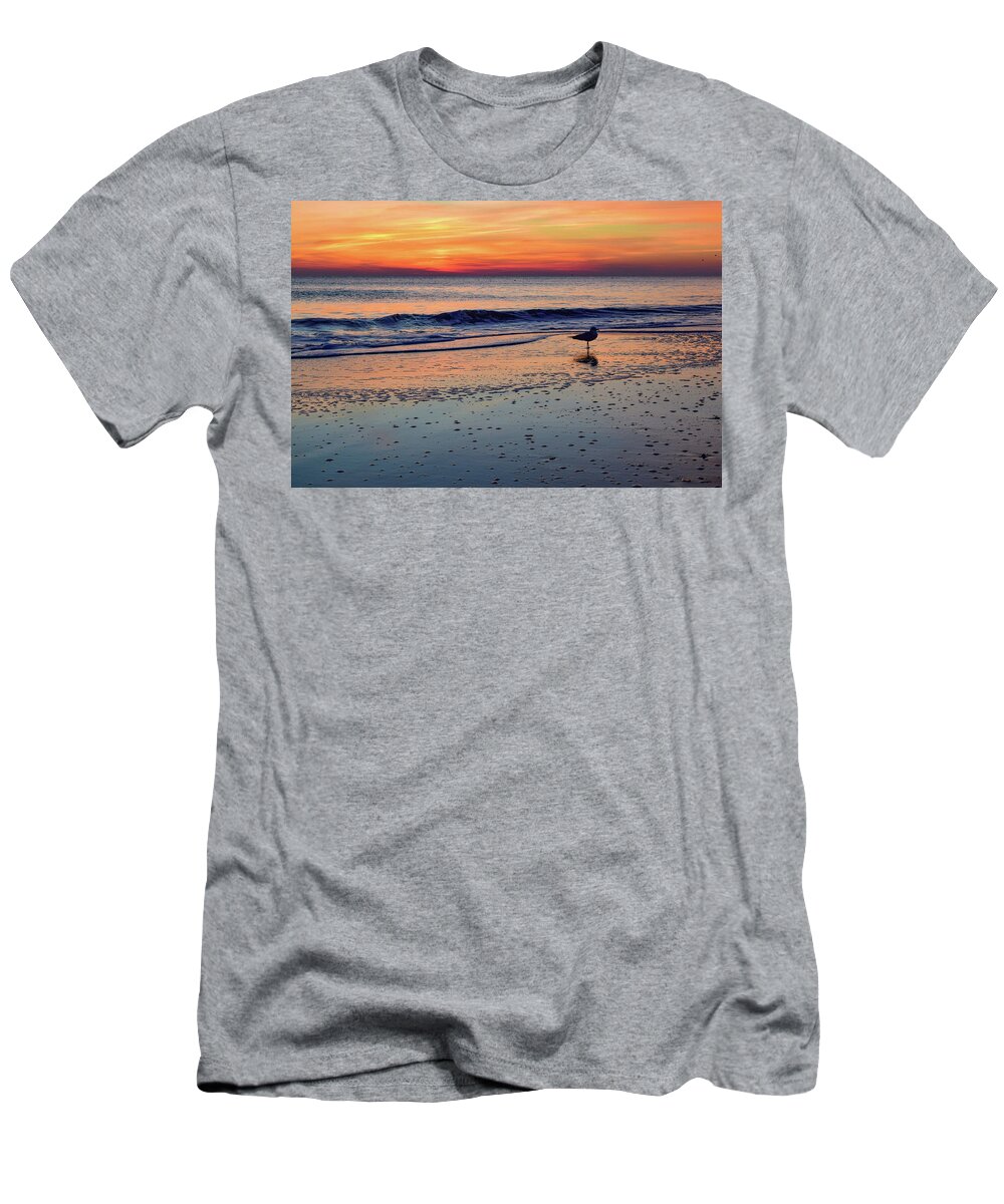 Beach T-Shirt featuring the photograph Seagull at Sunrise by Nicole Lloyd