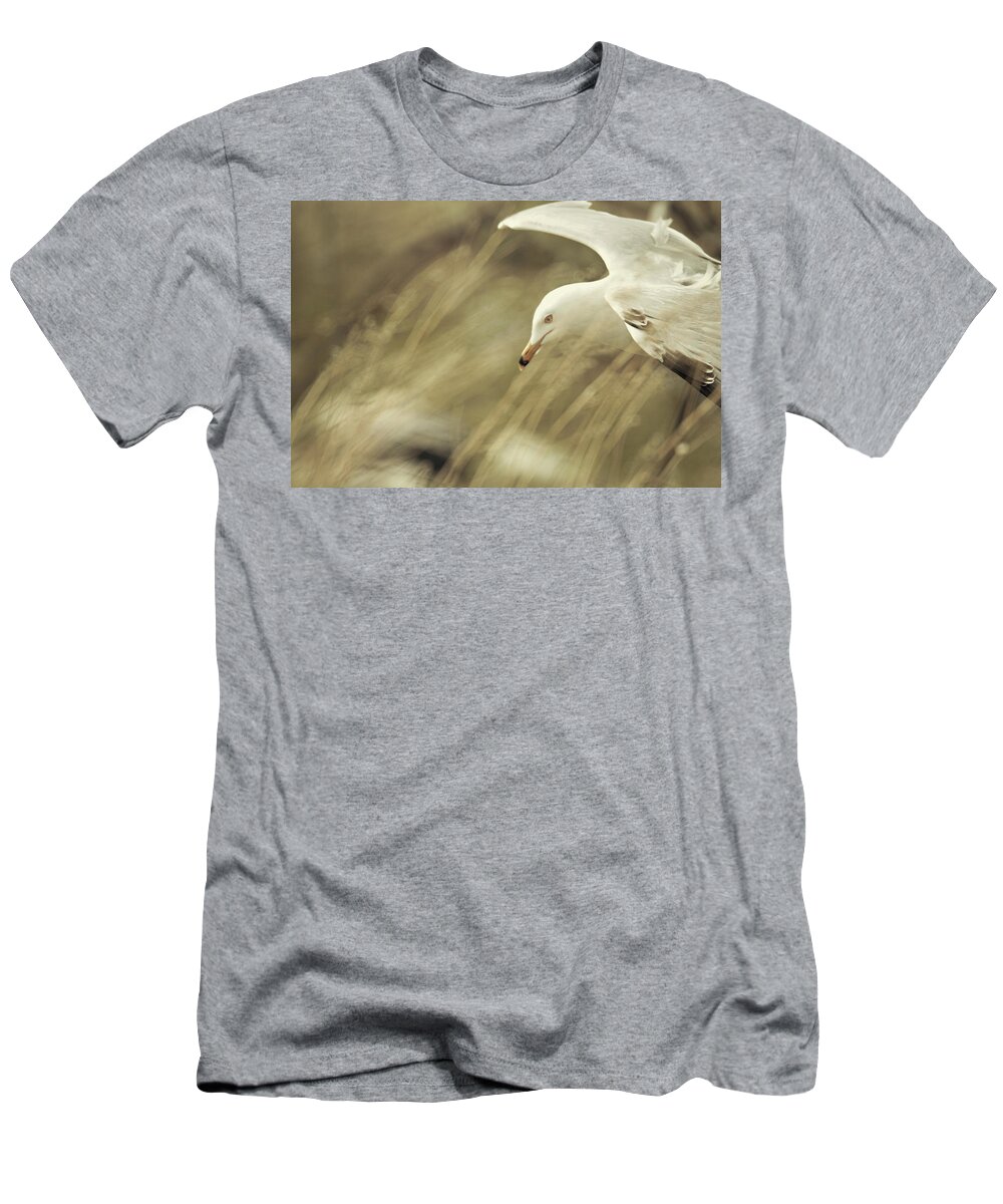 Seagull T-Shirt featuring the photograph Seagull in Wheat by Carrie Ann Grippo-Pike