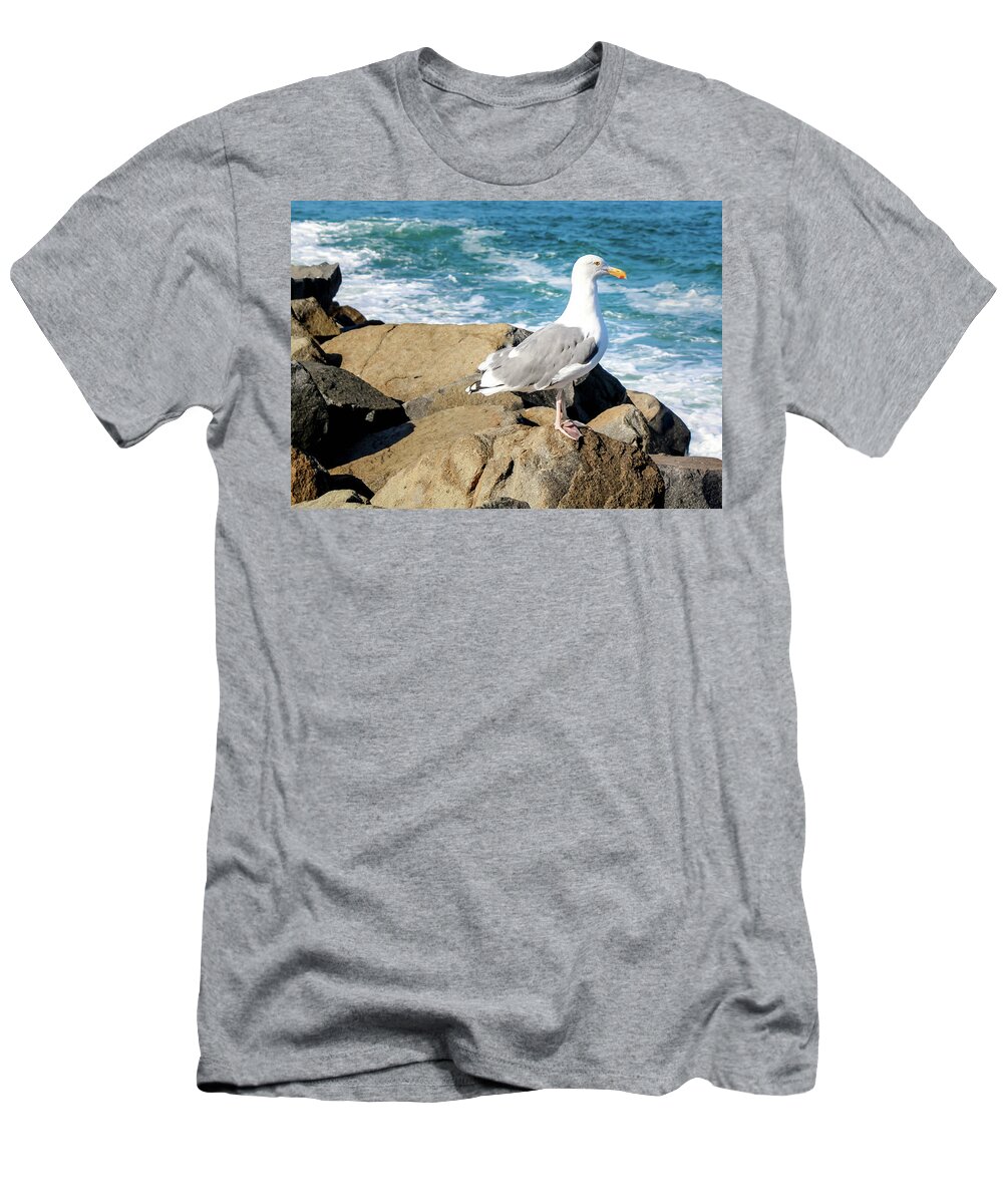 Seagull T-Shirt featuring the photograph Seagull on Jetty by Alison Frank