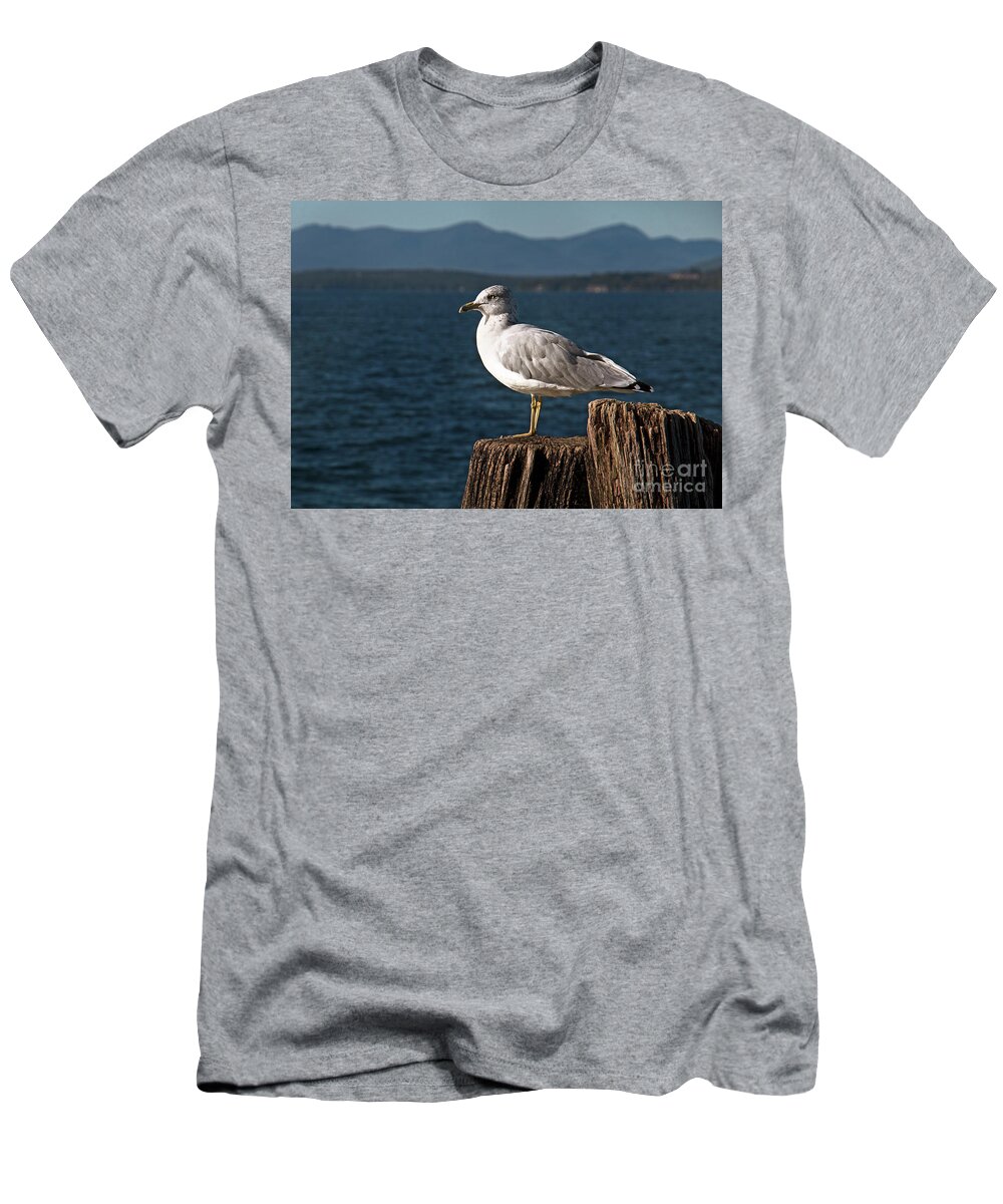 Seagull T-Shirt featuring the photograph Seagull Rest by Mim White