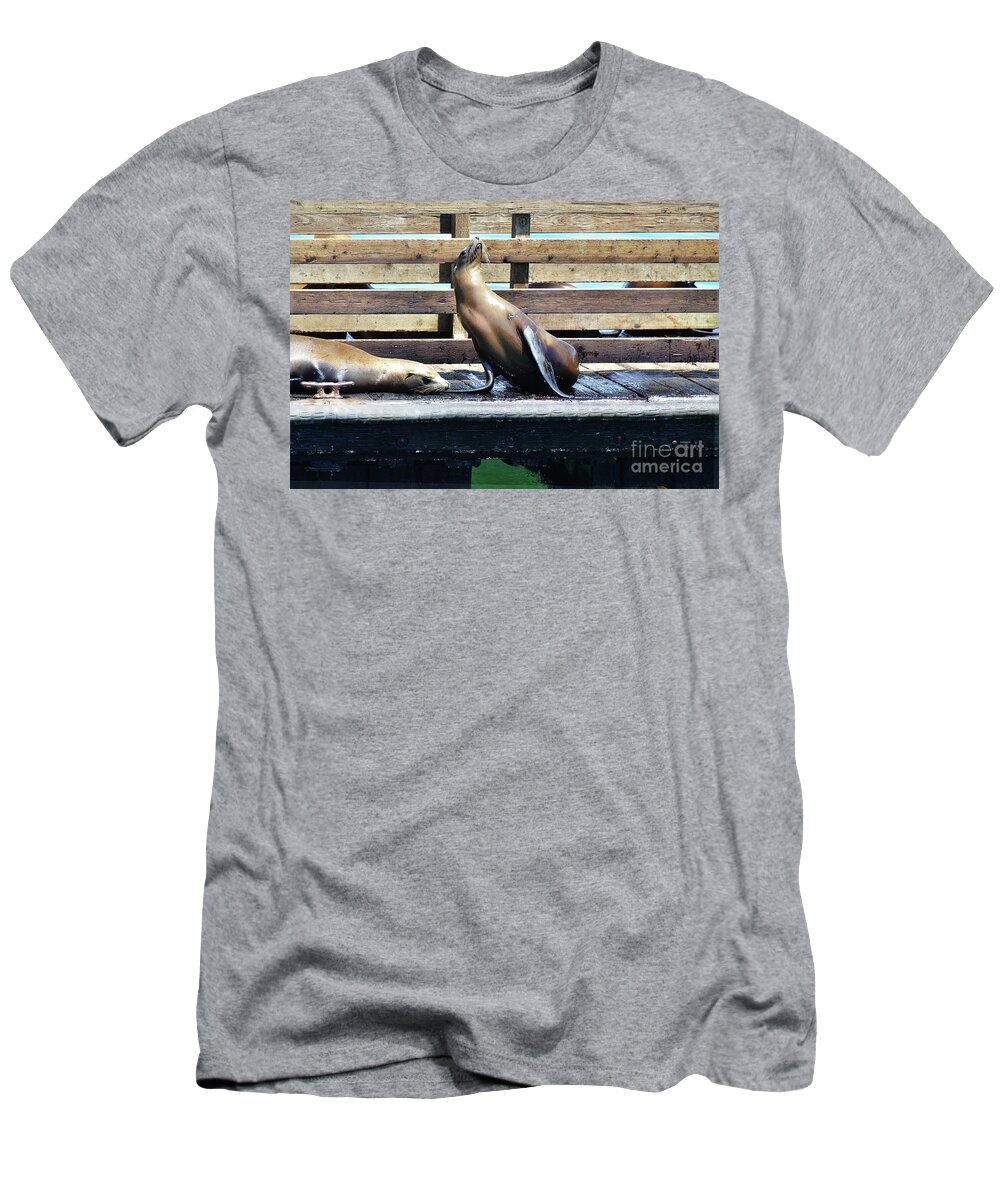 Seal T-Shirt featuring the photograph Seal Cheerleader by Debby Pueschel