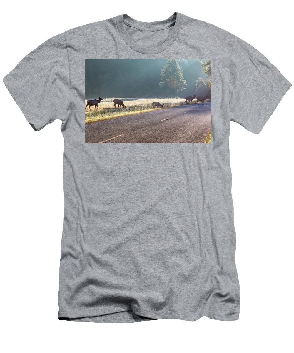 Elk T-Shirt featuring the photograph Searching For Greener Grass by D K Wall