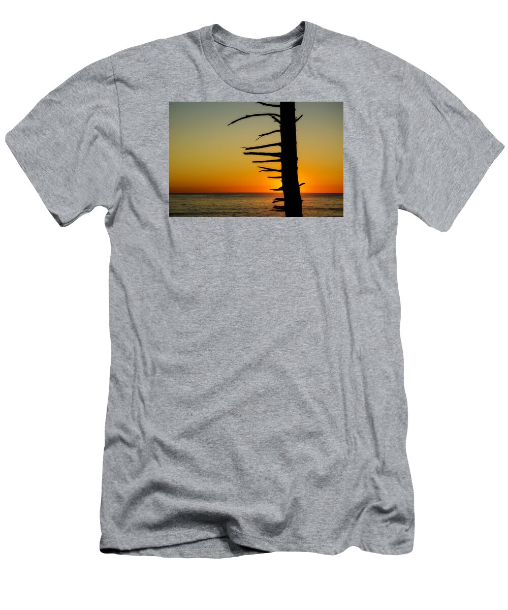Branch T-Shirt featuring the photograph Seaside Tree Branch Sunset 2 by Pelo Blanco Photo