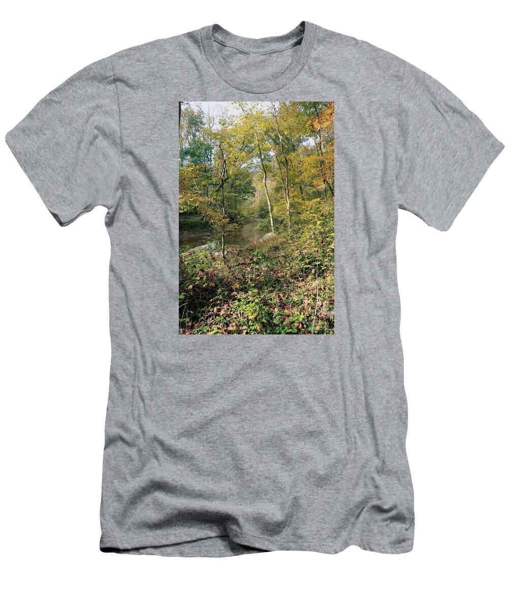 Fall T-Shirt featuring the photograph Season of Change by John Rivera