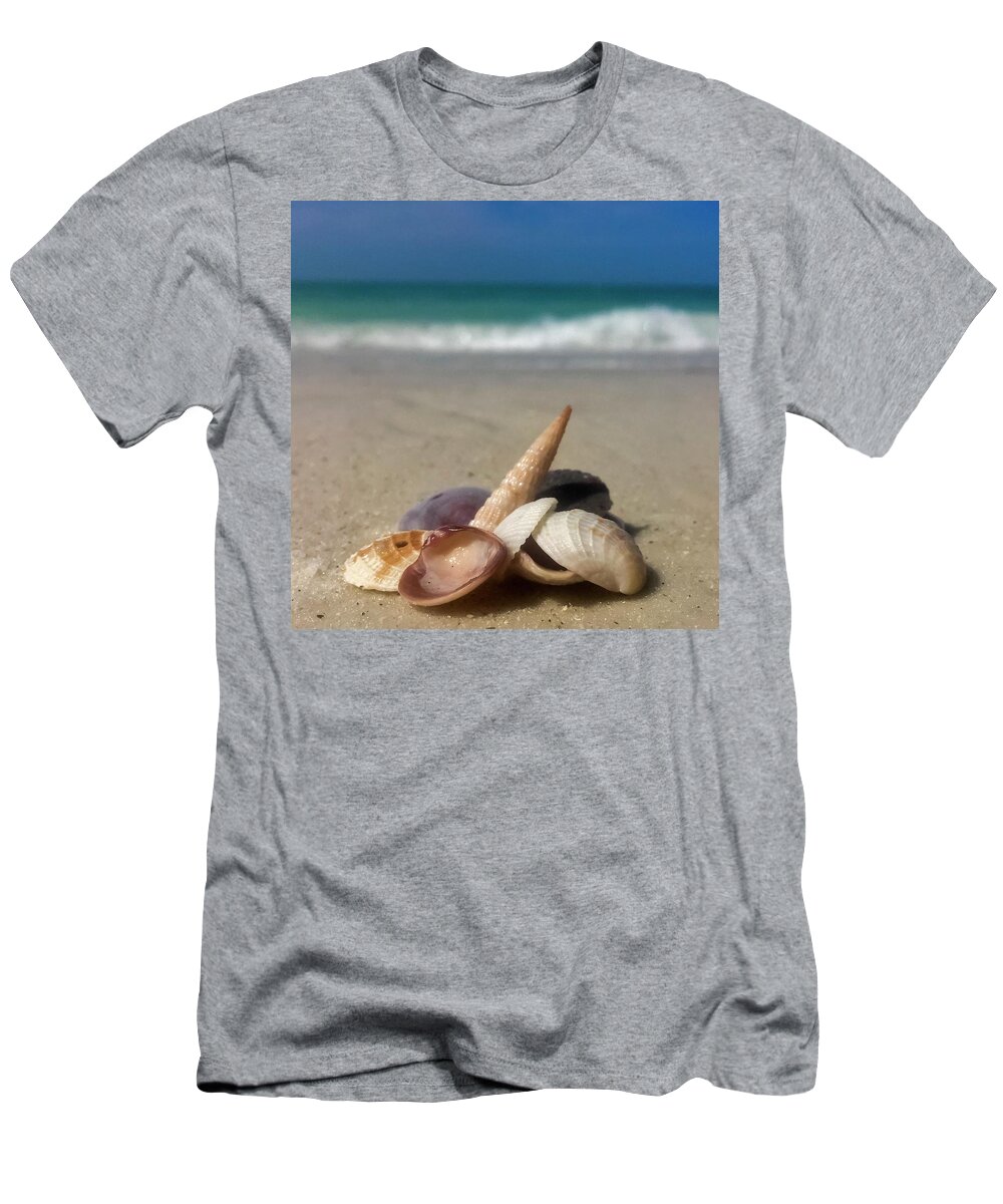 Seashell T-Shirt featuring the photograph See Shells by Terri Hart-Ellis