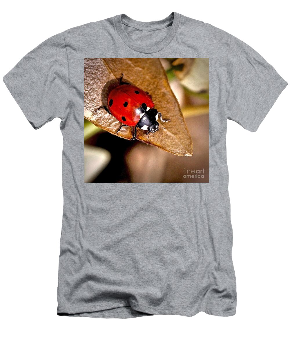 Squer T-Shirt featuring the photograph Seven Point Ladybug by Elisabeth Derichs