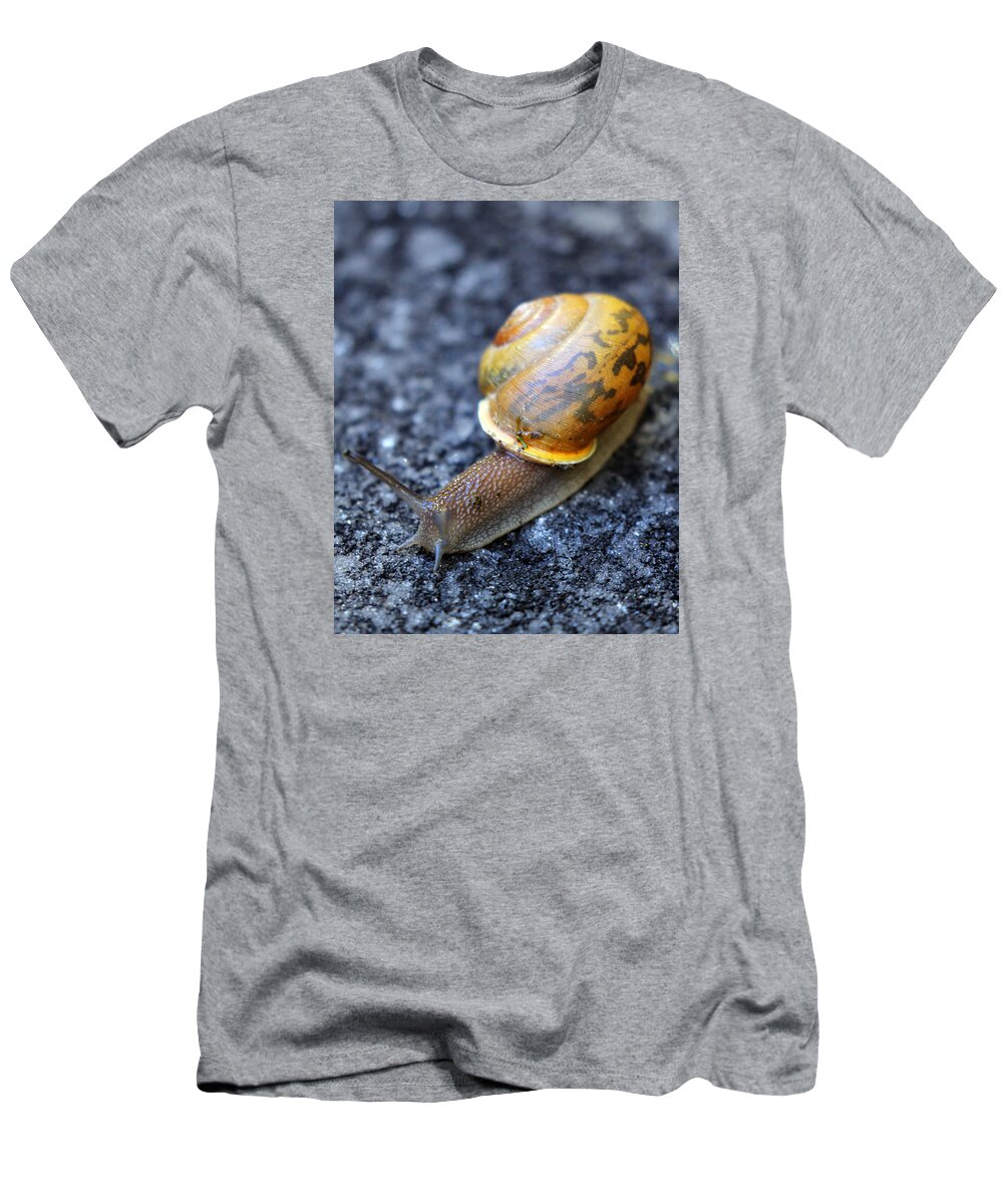 Snail T-Shirt featuring the photograph Shell Shock by Jennifer Robin
