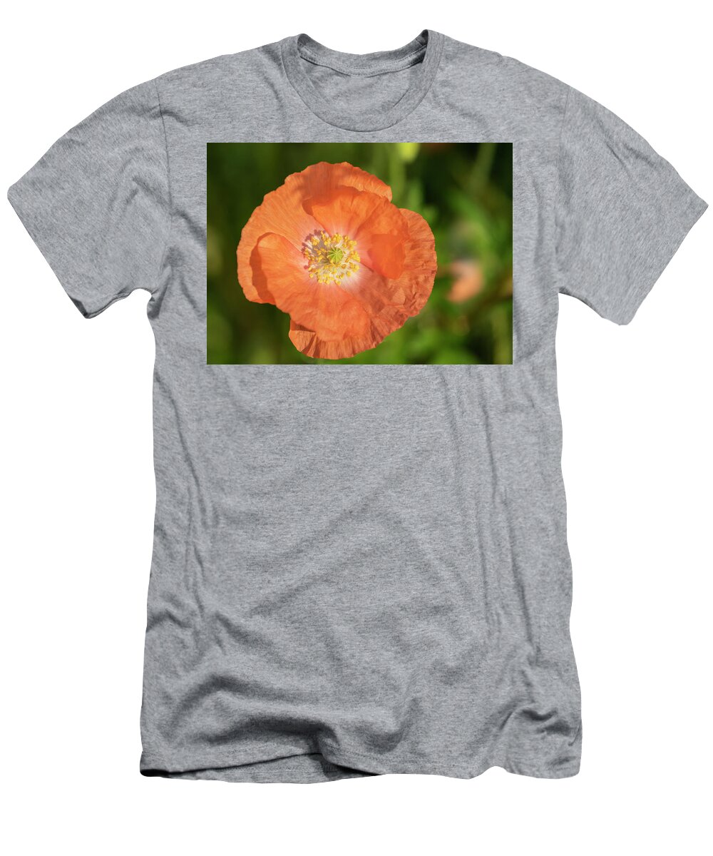 Shirley Poppy T-Shirt featuring the photograph Shirley Poppy 2018-13 by Thomas Young