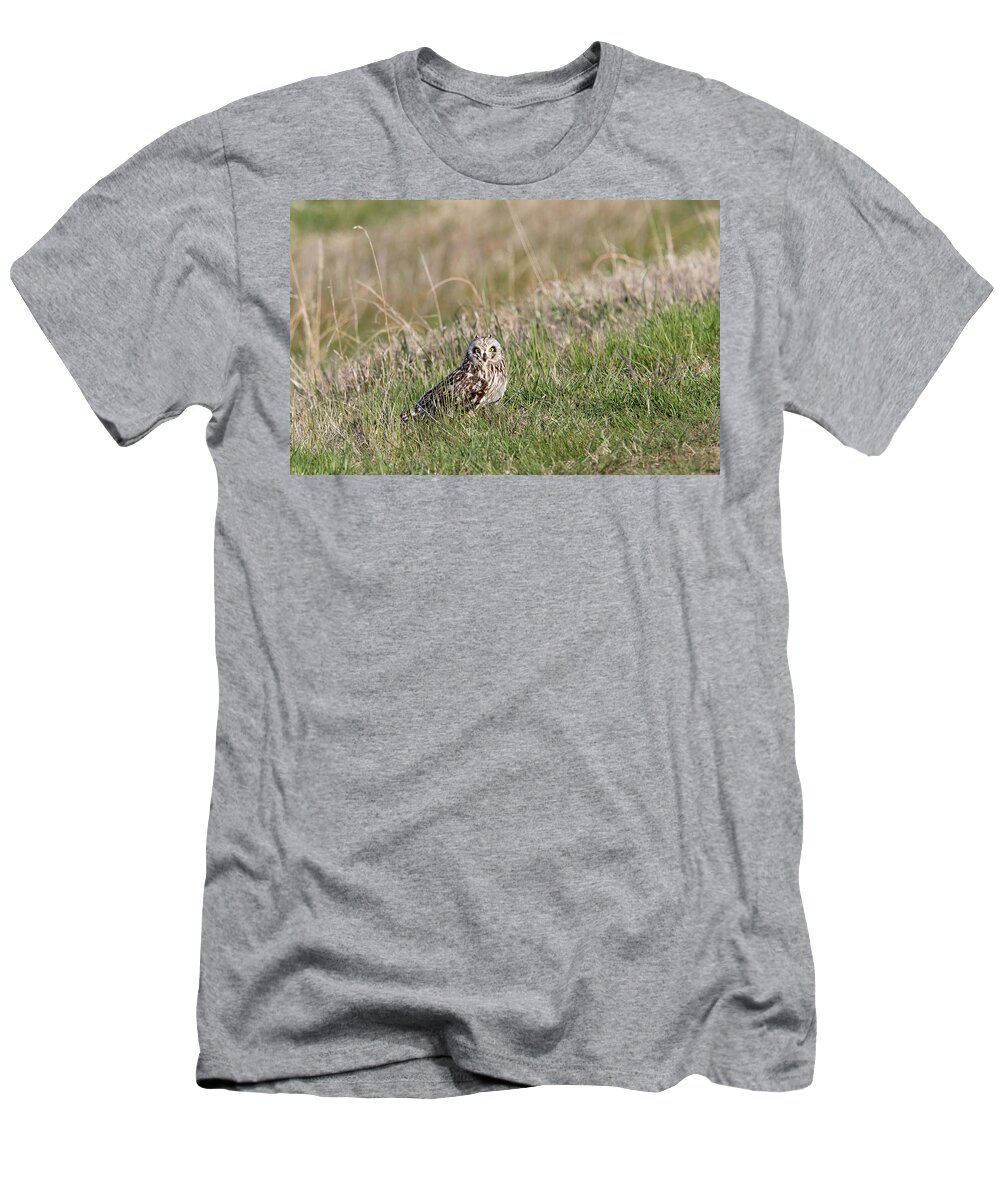Owl T-Shirt featuring the photograph Short Eared Owl by Ronnie And Frances Howard