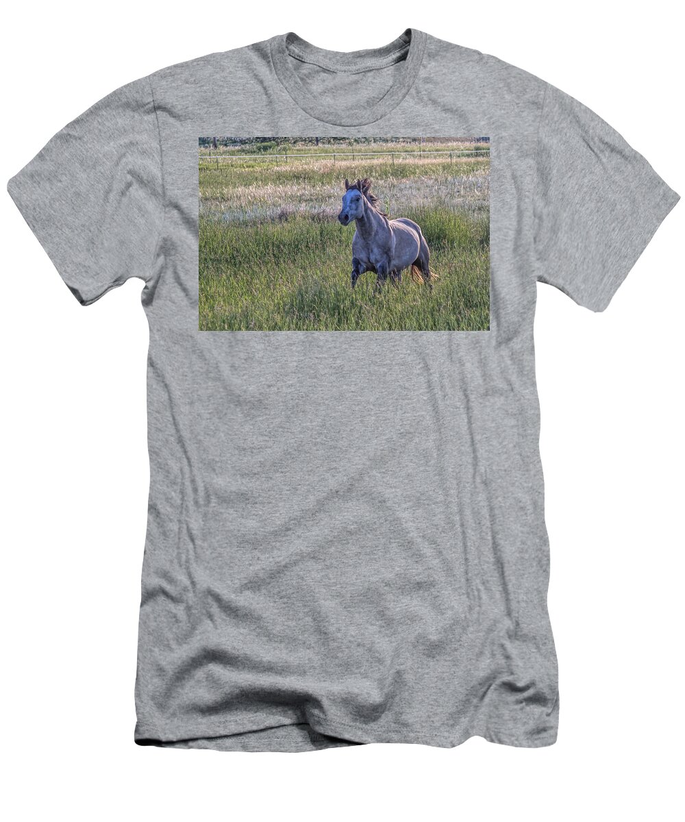 Equine T-Shirt featuring the photograph Silver Dun by Alana Thrower