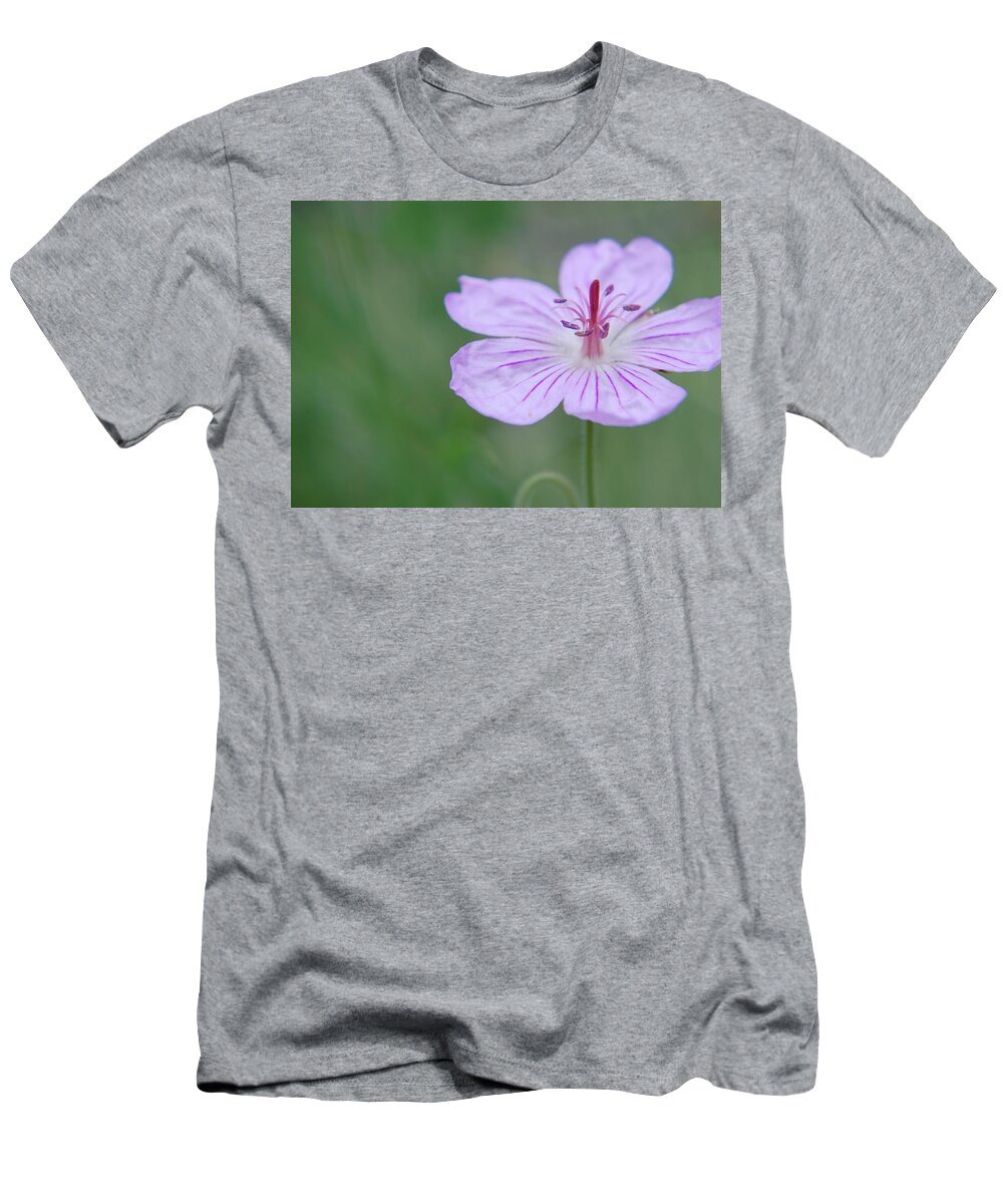 Nature T-Shirt featuring the photograph Simplicity of a flower by Amee Cave