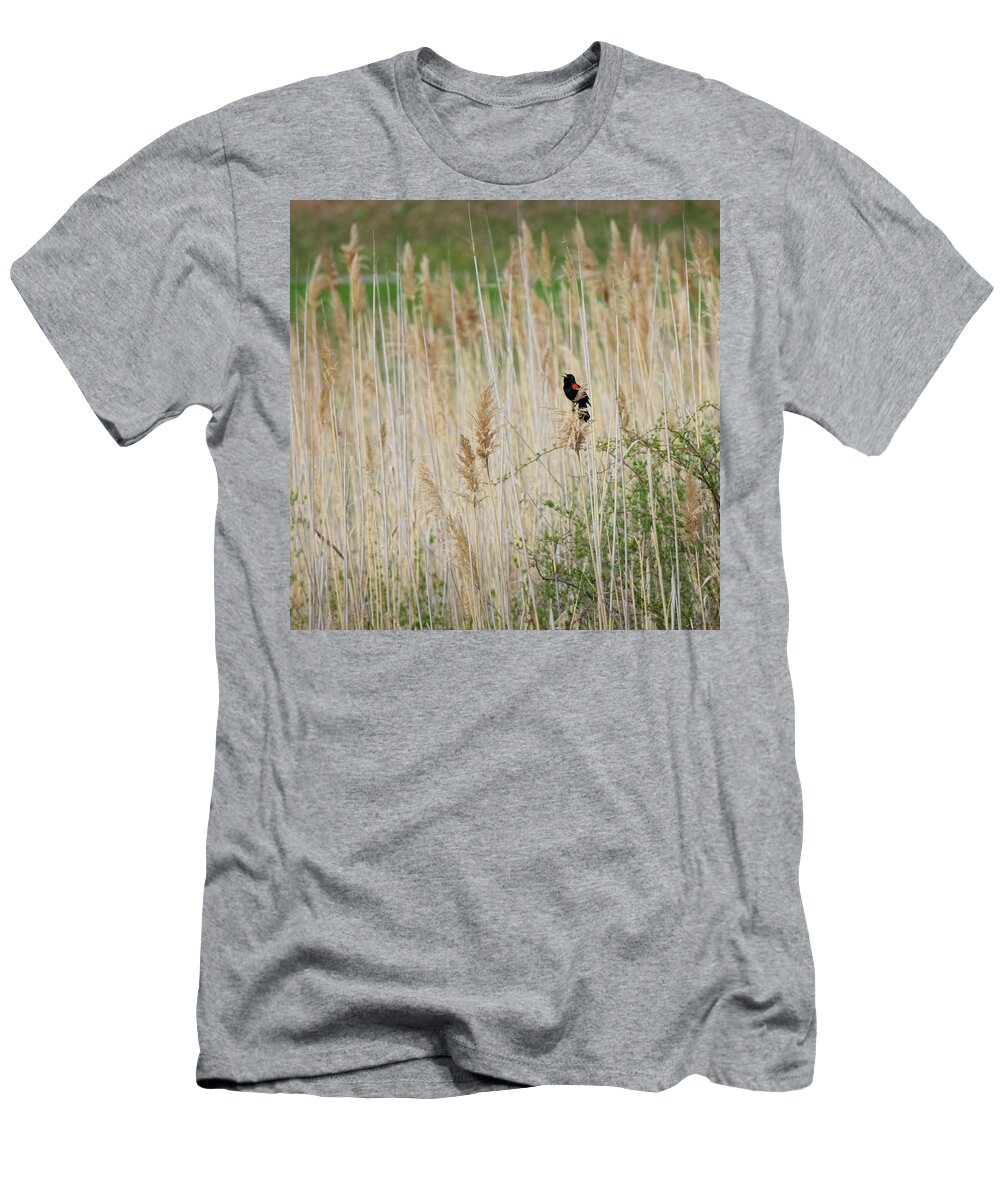 Square T-Shirt featuring the photograph Sing for Spring Square by Bill Wakeley