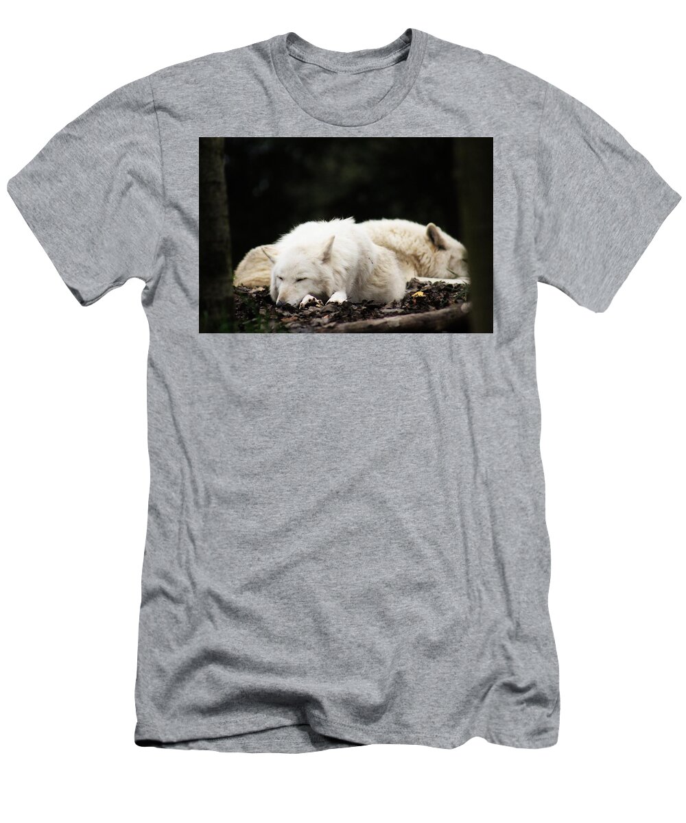 Wildlife Photography T-Shirt featuring the photograph Sleeping Beauties by Lkb Art And Photography
