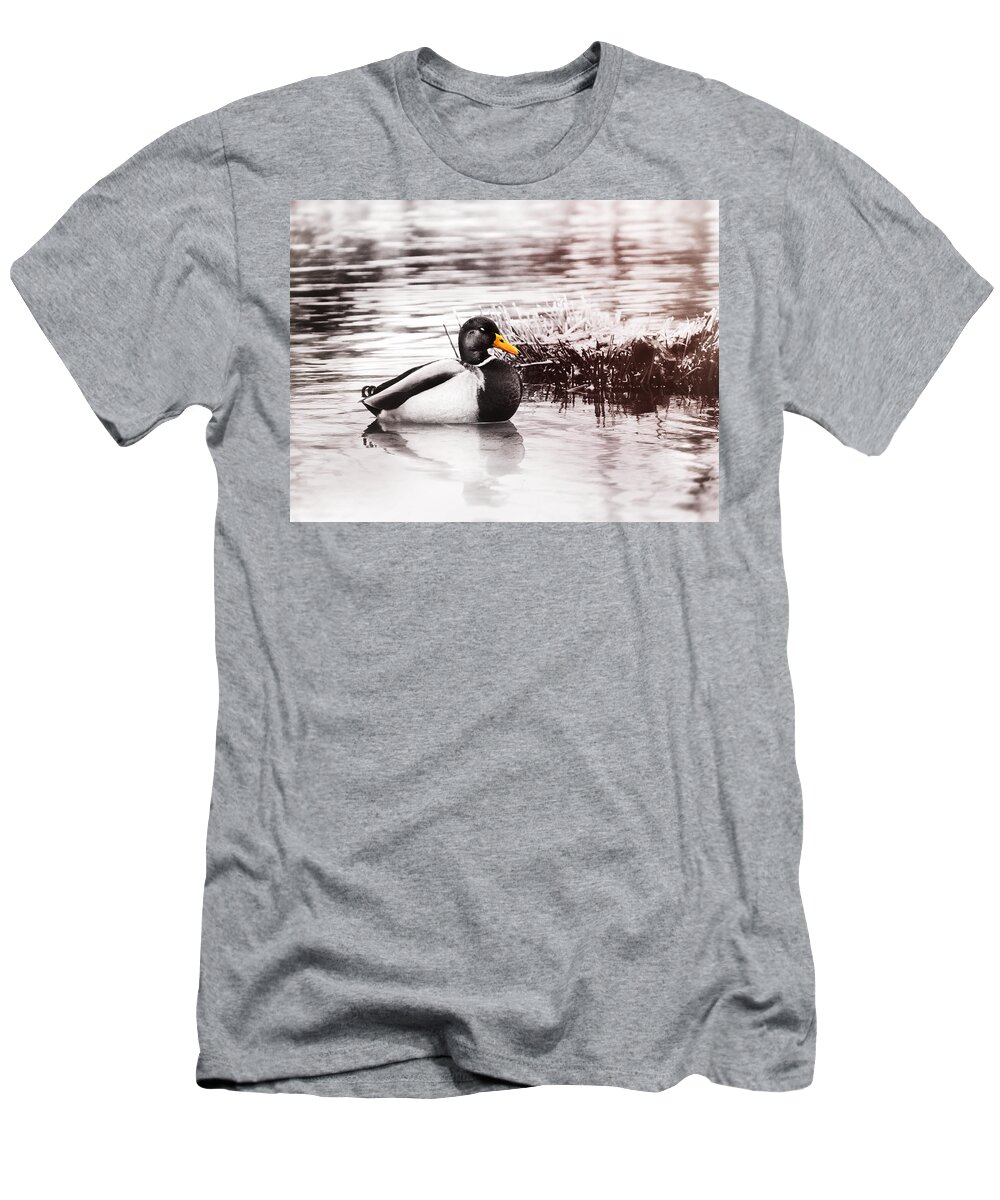 Duck T-Shirt featuring the photograph Sleeping Duck by Jaroslav Buna