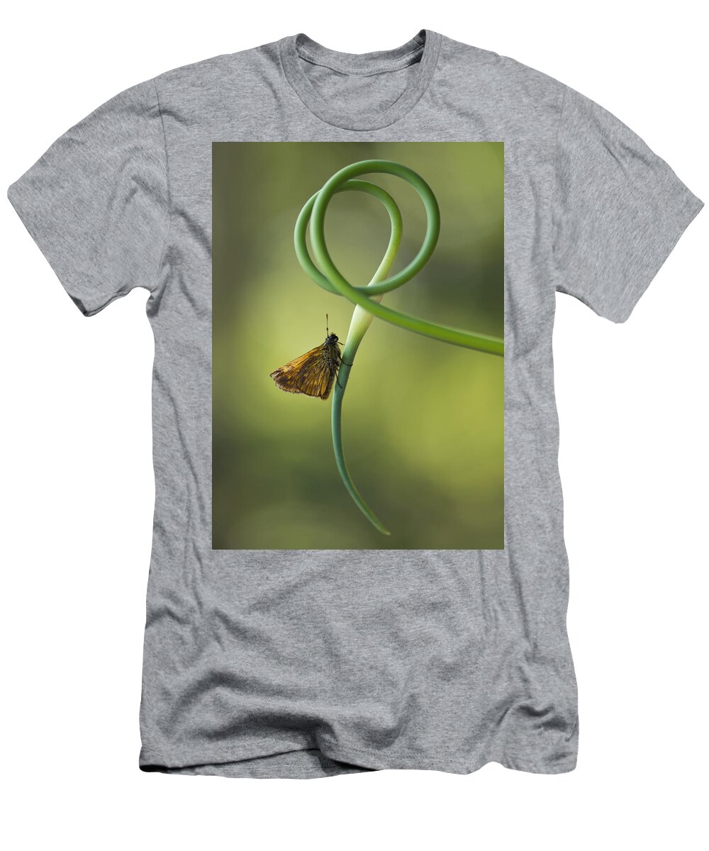 Insect T-Shirt featuring the photograph Small butterfly sitting on garlic flower by Jaroslaw Blaminsky