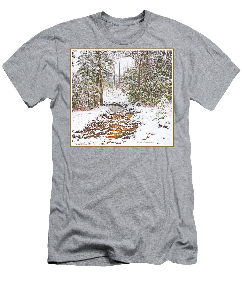 Stream T-Shirt featuring the photograph Small Mountain Stream in Winter by A Macarthur Gurmankin