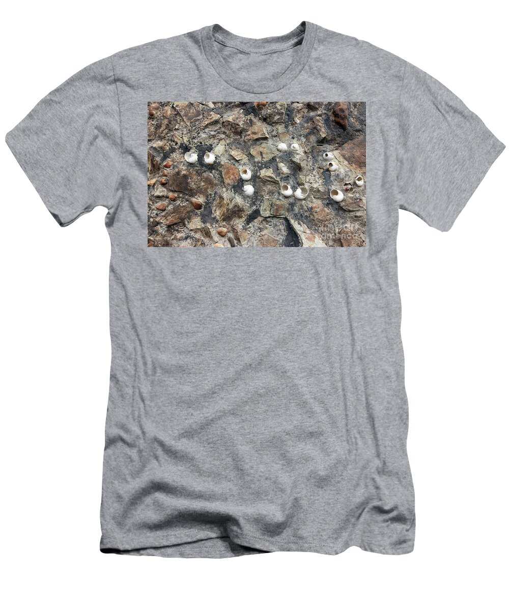 Abstract T-Shirt featuring the photograph Snail shells in the wall by Michal Boubin