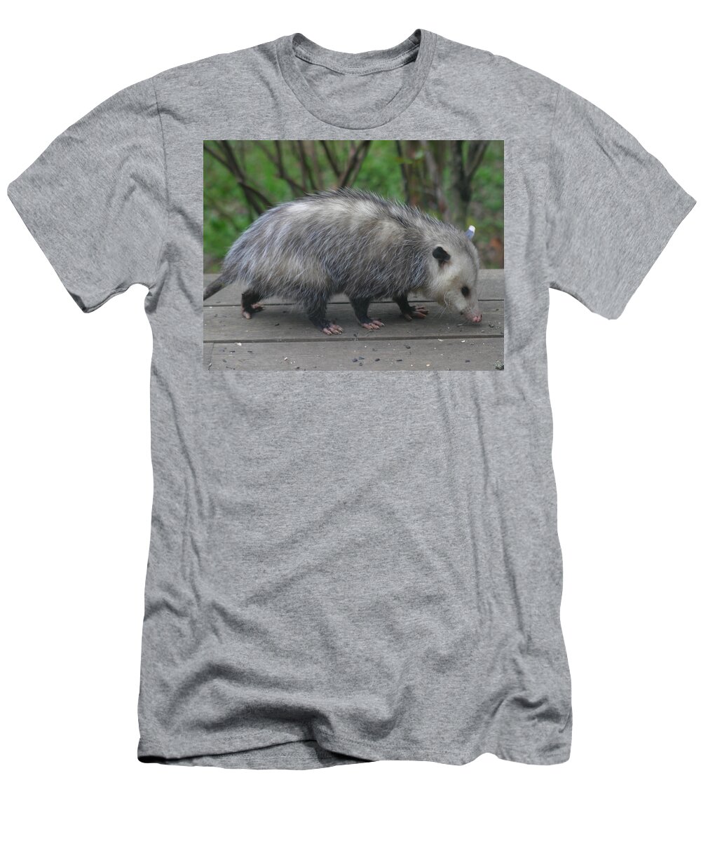 Sniffy The Possum T-Shirt featuring the photograph Sniffing Around by Kym Backland