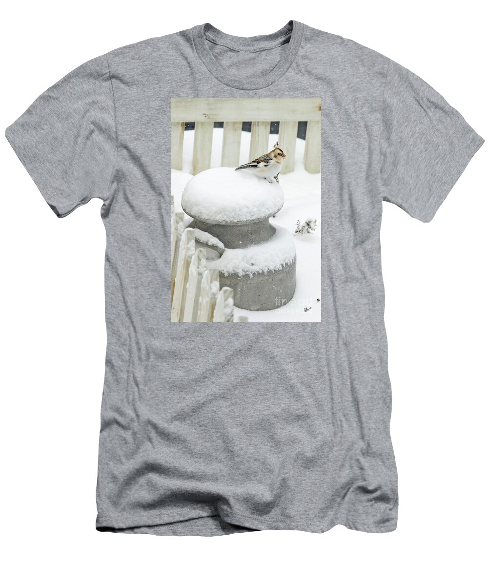 Snow T-Shirt featuring the photograph Snow Bunting by Alana Ranney