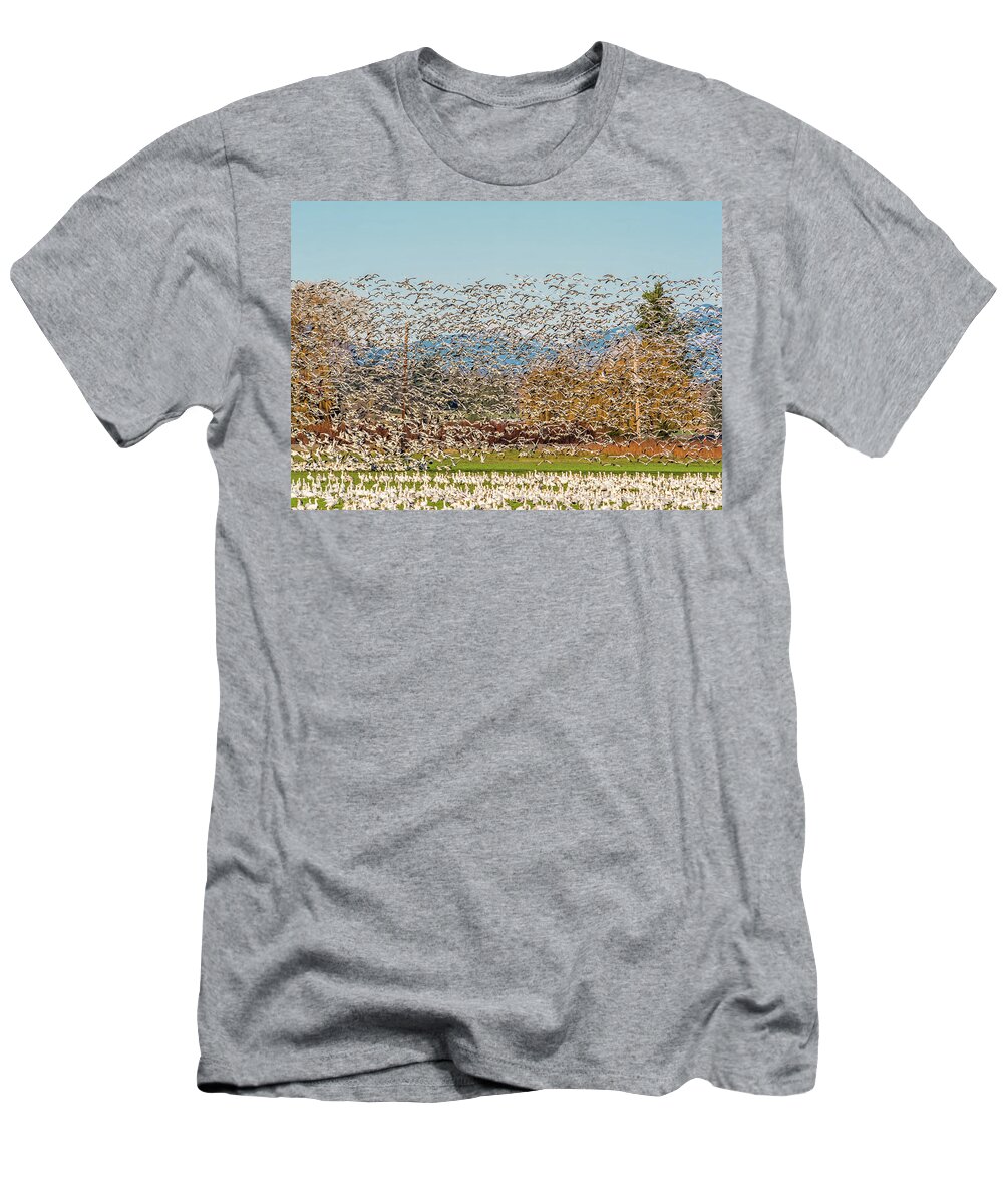 Animal T-Shirt featuring the photograph Snow Geese Taking Flight by Marv Vandehey