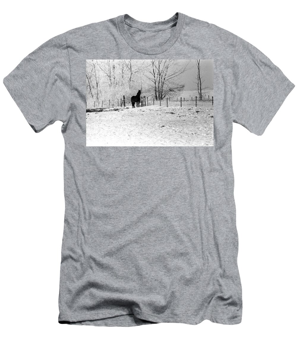 Horse Ward County North Dakota T-Shirt featuring the photograph Snow Horse by William Kimble
