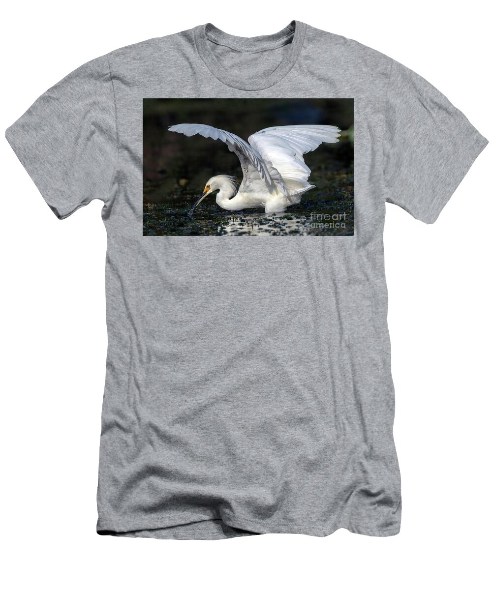 Birds T-Shirt featuring the photograph Snowy Egret Fishing by DB Hayes