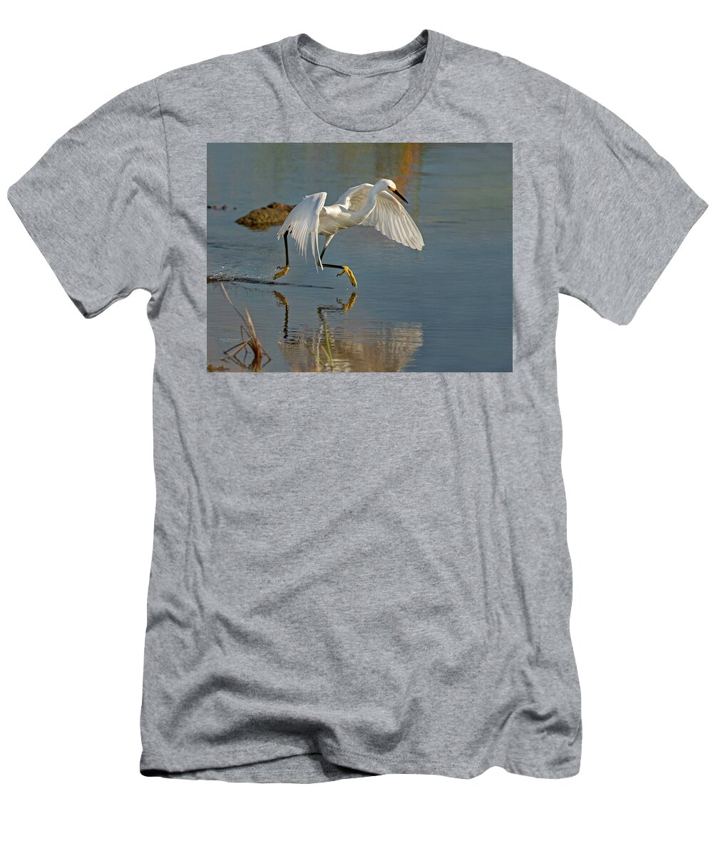 Snowy Egrets T-Shirt featuring the photograph Snowy Egret on the move by Judi Dressler