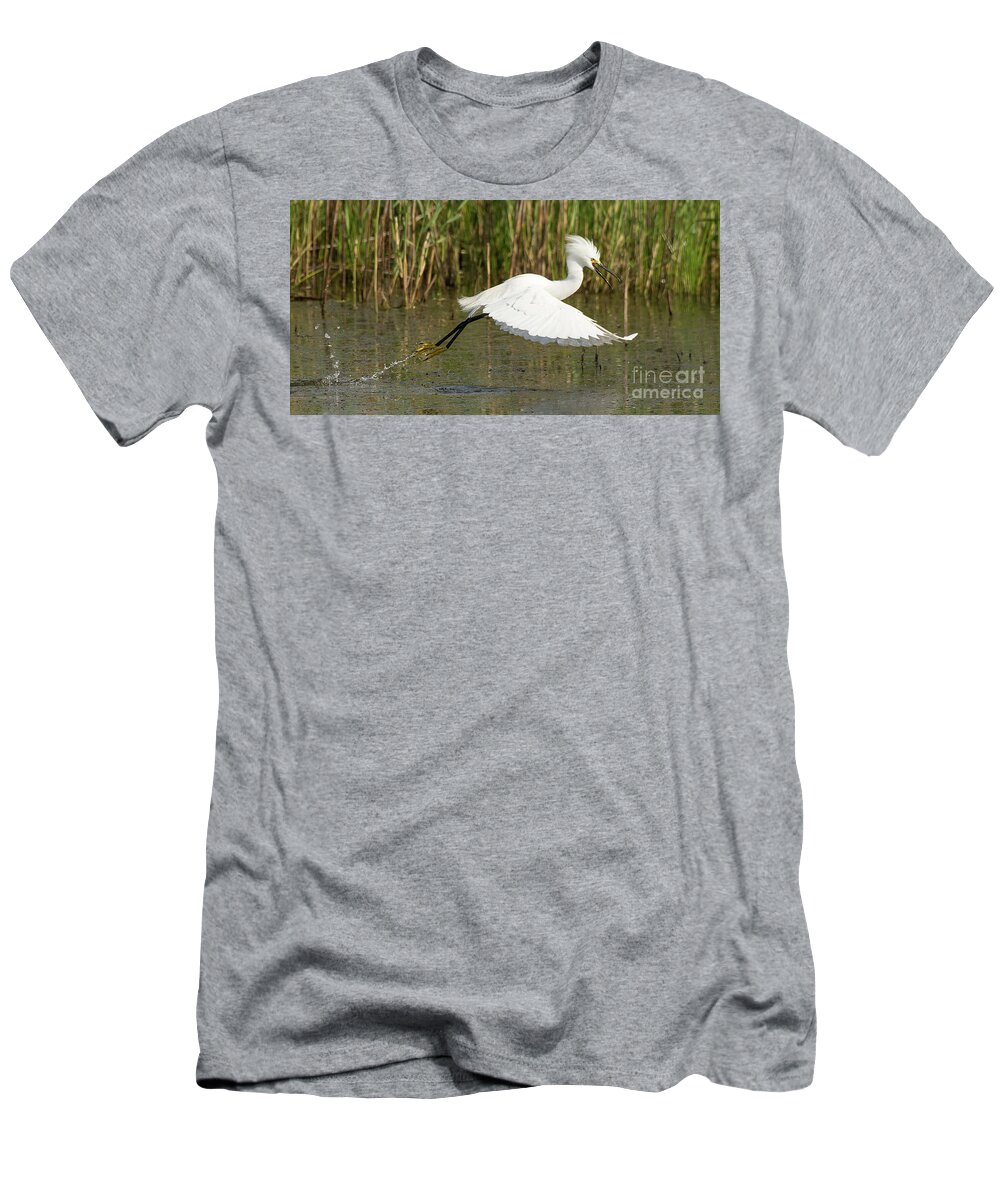 Bird T-Shirt featuring the photograph Snowy Egret Taking Flight by Dennis Hammer