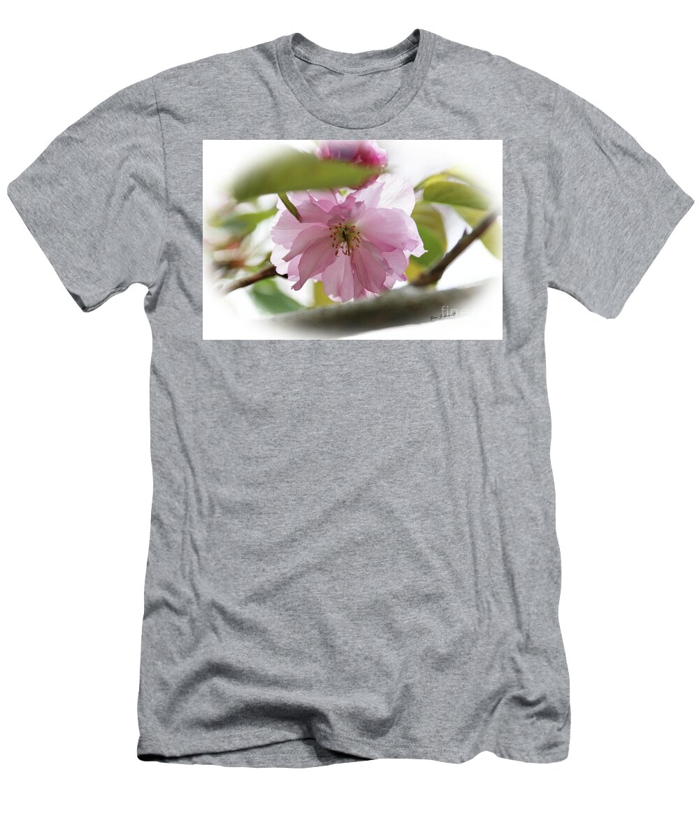 Flowers T-Shirt featuring the photograph Soft and Gentle by Yumi Johnson