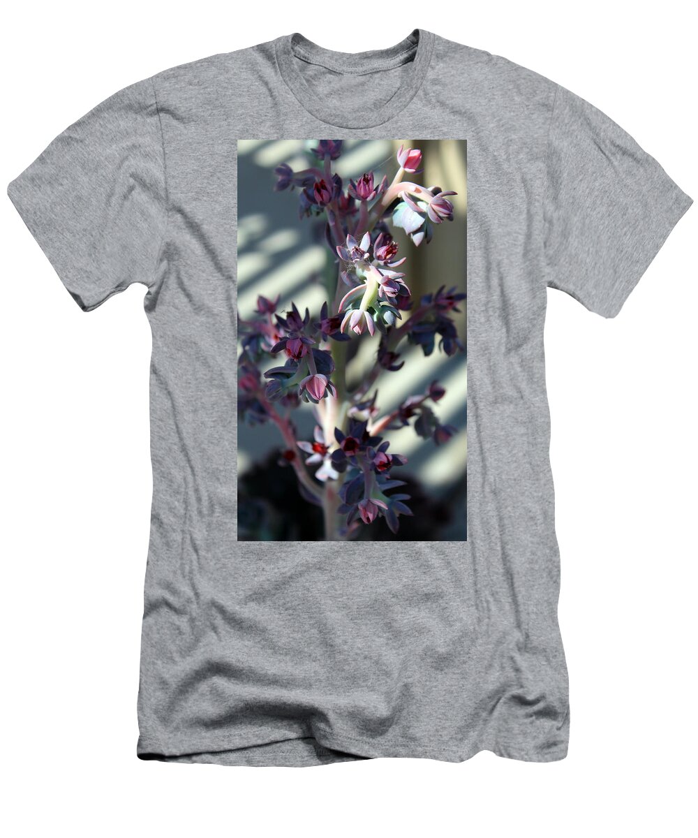 Green T-Shirt featuring the photograph Softly Succulent Photograph by Kimberly Walker